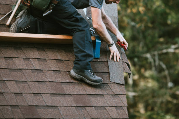 Roof Gutter Cleaning in Weston Lakes, TX